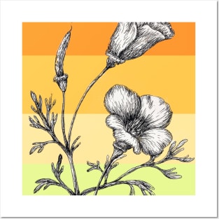 California Poppy Posters and Art